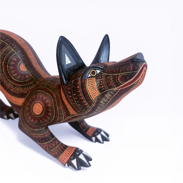 Rocio Fabian: Sunshine Dog
