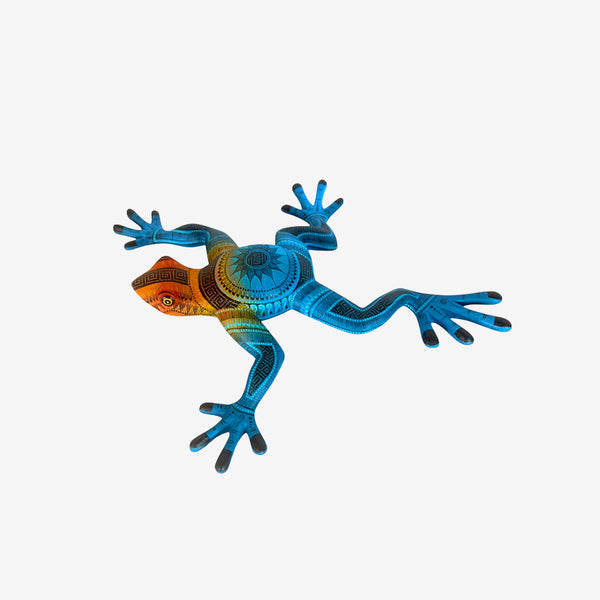 Rocio Fabian: Rain Frog