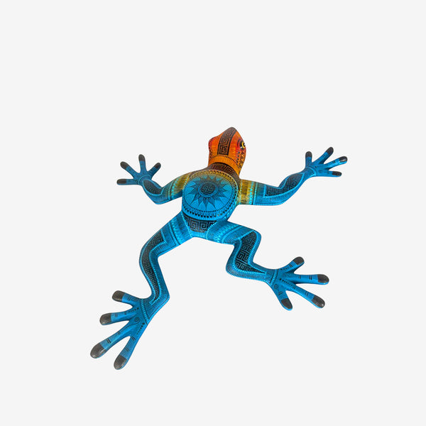 Rocio Fabian: Rain Frog