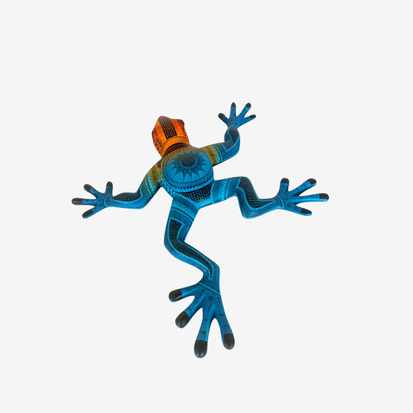 Rocio Fabian: Rain Frog