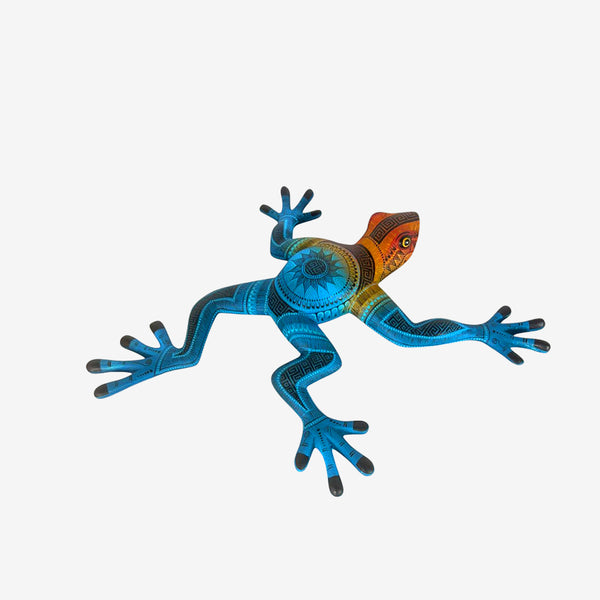 Rocio Fabian: Rain Frog