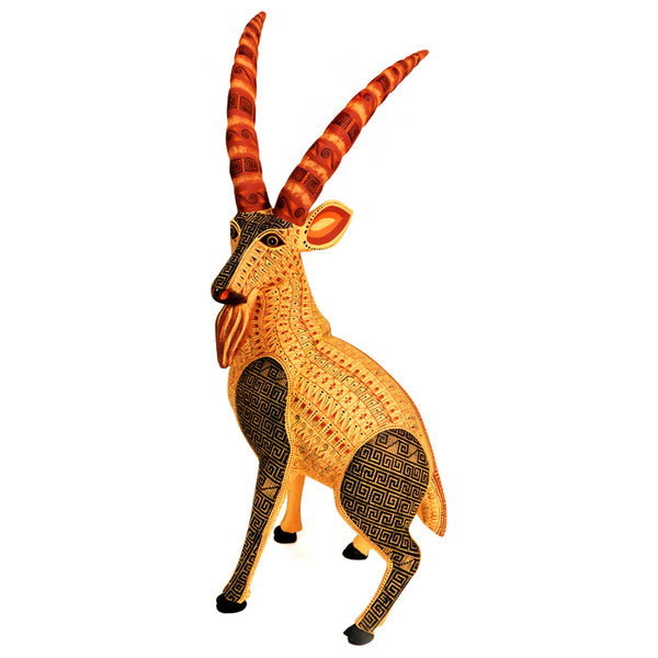 Rocio Fabian: Elegant Thompson Gazelle Sculpture