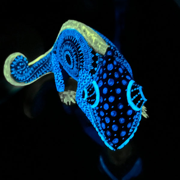 Saul Aragon: Chameleon Woodcarving