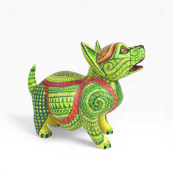 Saul Aragon: Captivating Puppy Dog Oaxaca