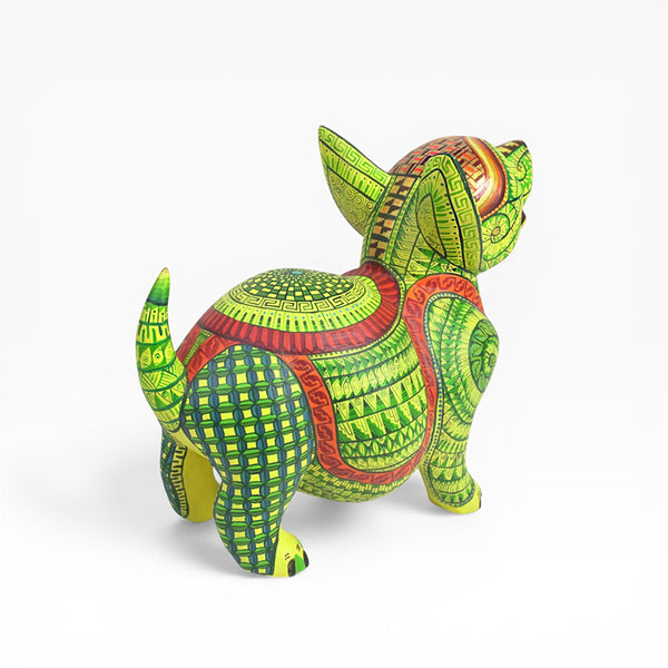 Saul Aragon: Captivating Puppy Dog Oaxaca