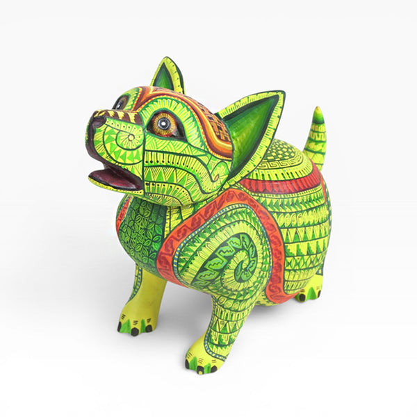 Saul Aragon: Captivating Puppy Dog Oaxaca