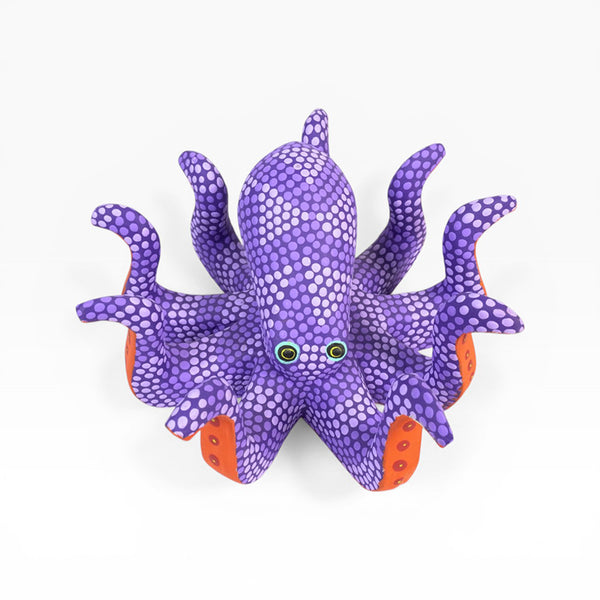 Saul Aragon: Octopus Oaxaca