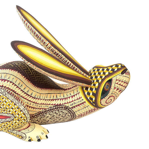 Saul Aragon: Running Hare Oaxaca