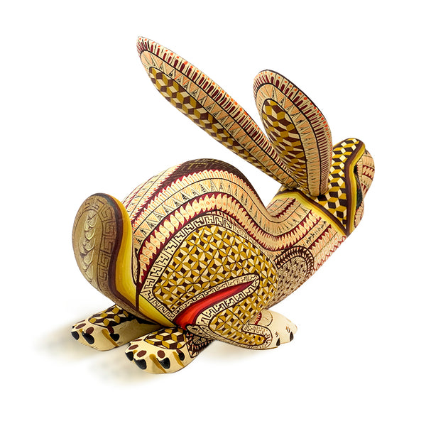 Saul Aragon: Running Hare Oaxaca