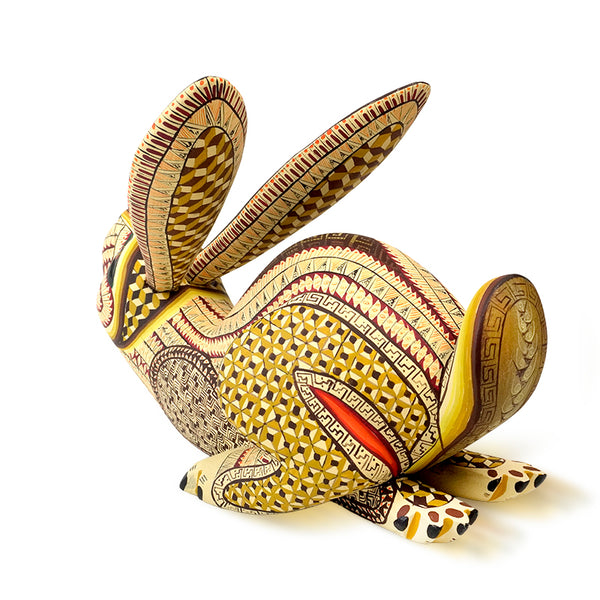 Saul Aragon: Running Hare Oaxaca