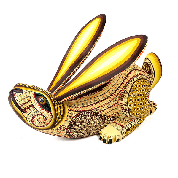 Saul Aragon: Running Hare Oaxaca