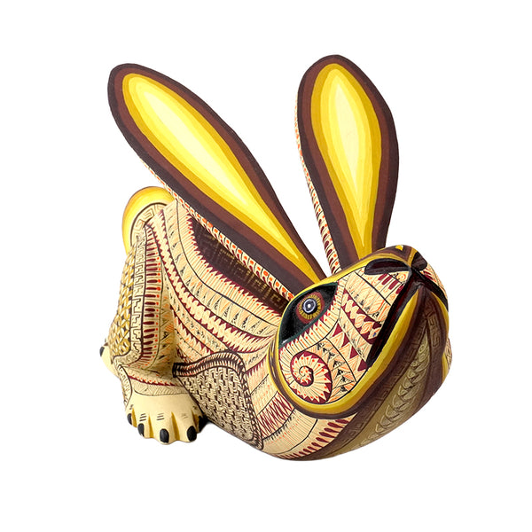 Saul Aragon: Running Hare Oaxaca