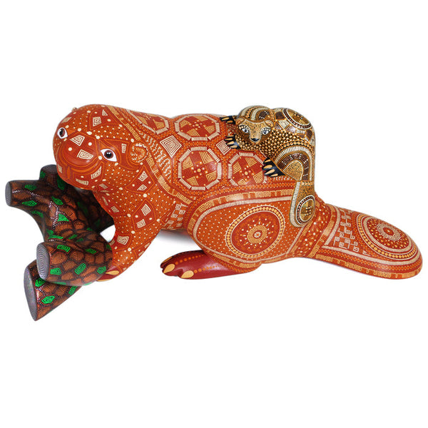 Anel Shunashi: American Beaver & Baby