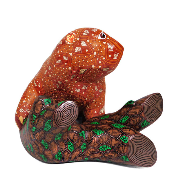 Anel Shunashi: American Beaver & Baby