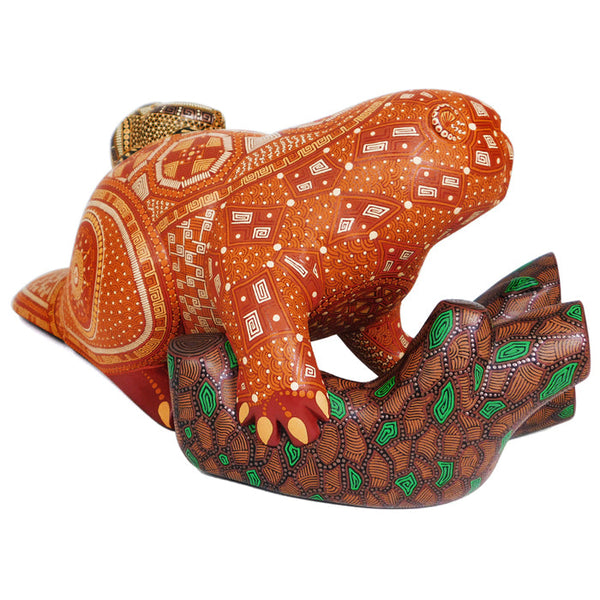 Anel Shunashi: American Beaver & Baby