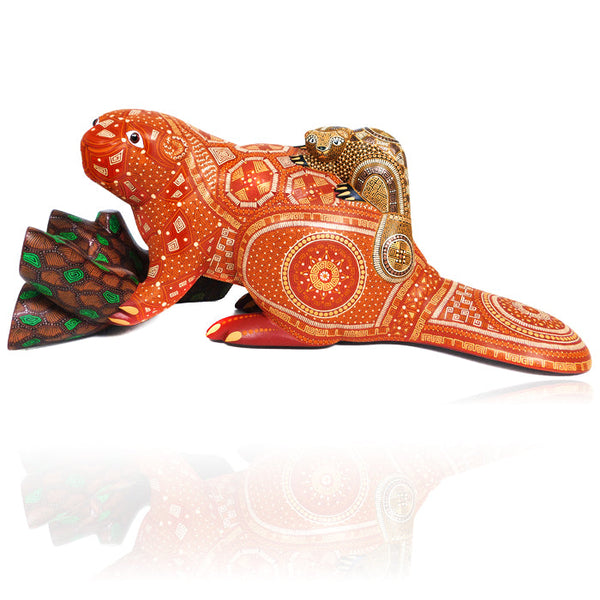 Anel Shunashi: American Beaver & Baby