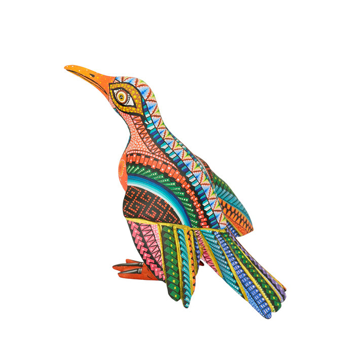 Susana Calvo: Rainbow Bird Woodcarving