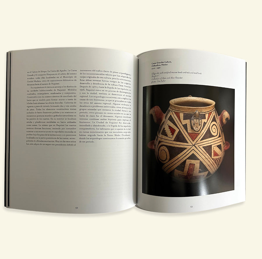 Talking Birds The Ceramic of Casas Grandes Book Softcover