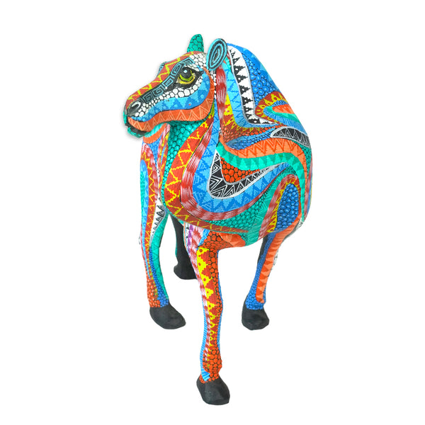 Neftali Martinez: Beautiful Desert Camel