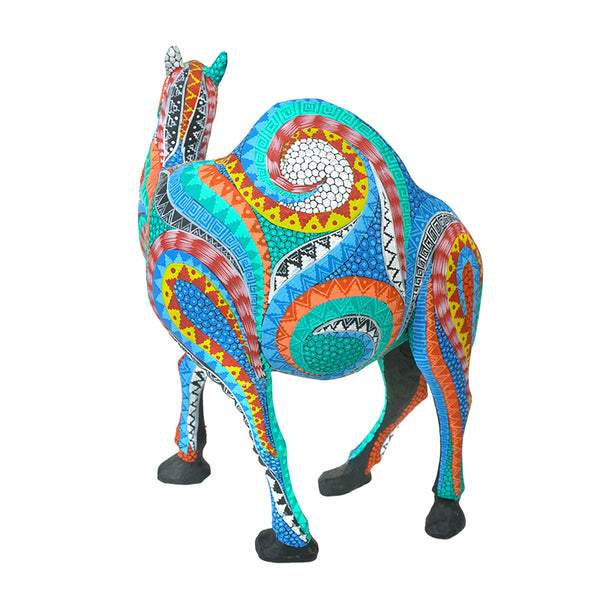 Neftali Martinez: Beautiful Desert Camel