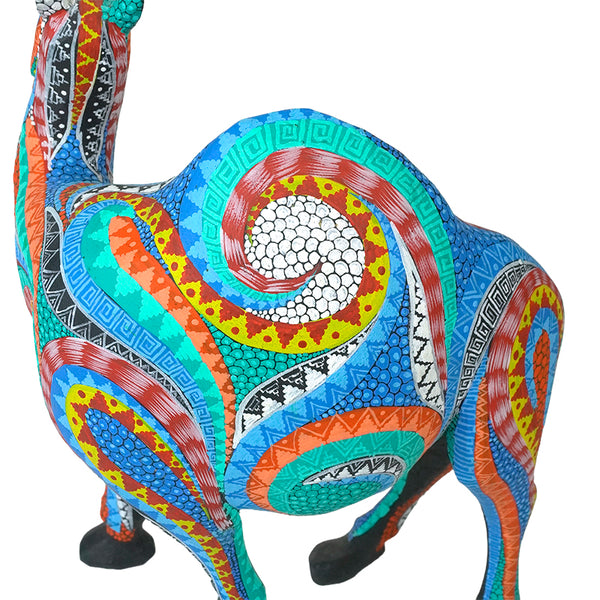 Neftali Martinez: Beautiful Desert Camel