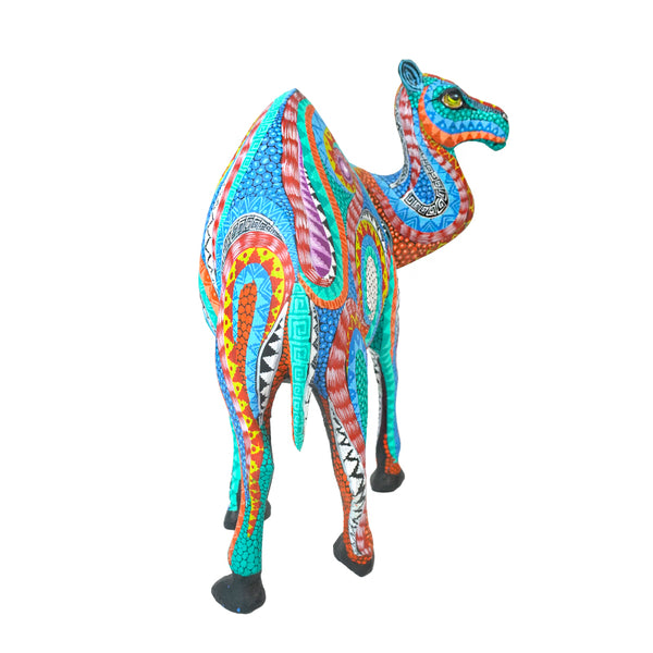 Neftali Martinez: Beautiful Desert Camel