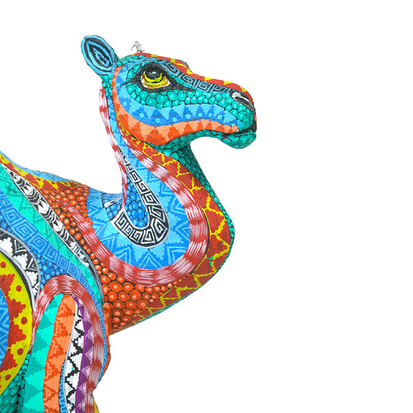 Neftali Martinez: Beautiful Desert Camel