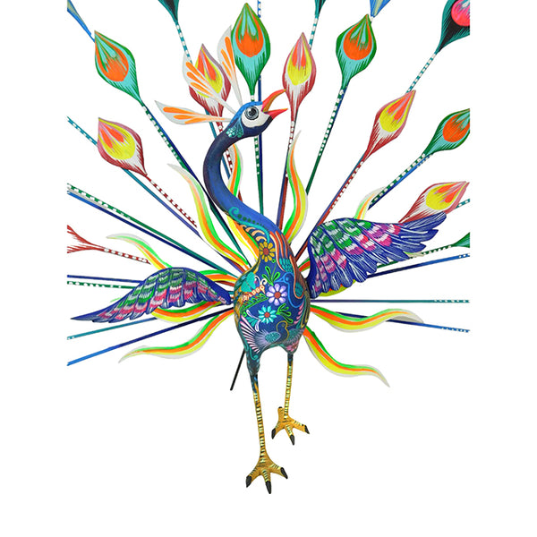 Oaxaca Woodcarving peacock