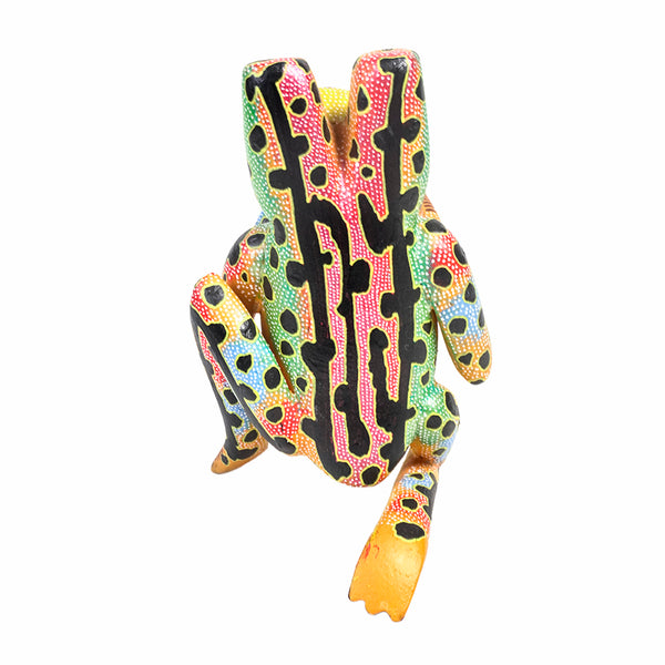 David Blas: Frogwith Latin Tumba Alebrije