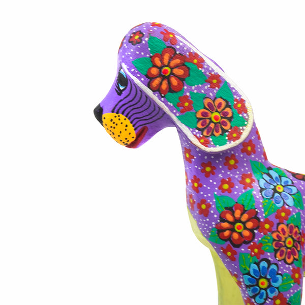 Candido Jimenez: Flowers Dog Oaxaca Woodcarving