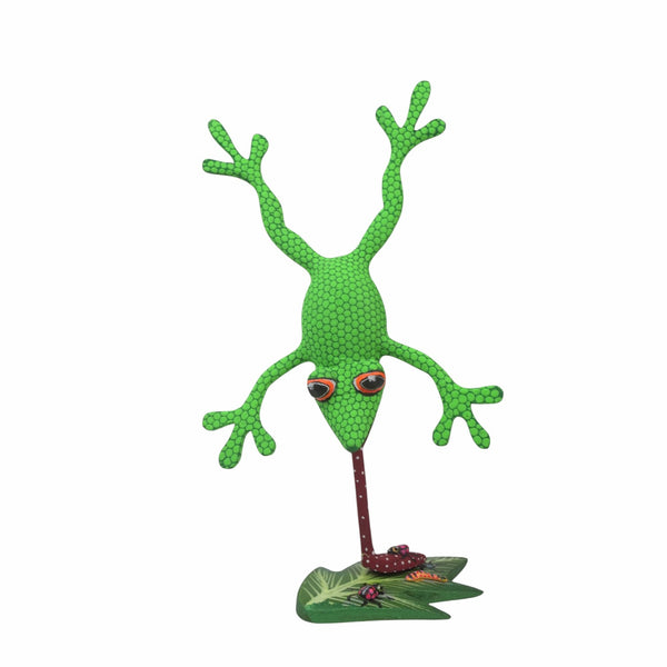 Tribus Mixes: Frog Alebrije