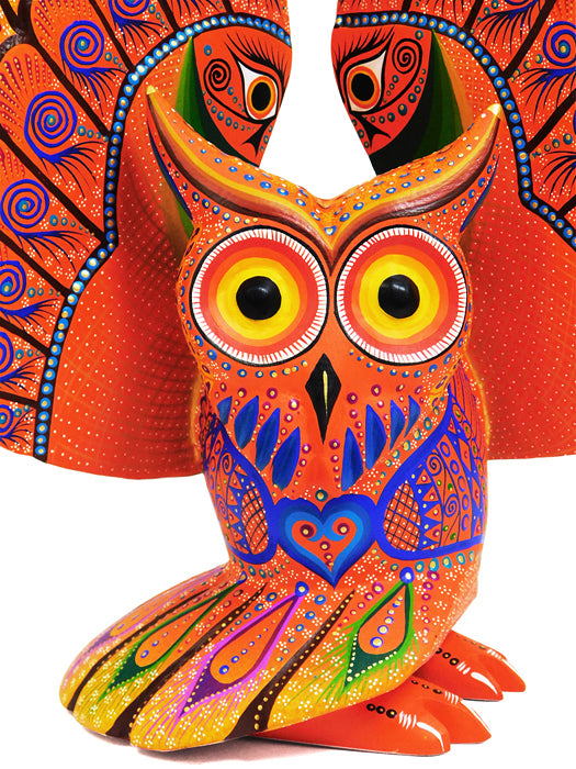 Luis Sosa: Large Sundown  Owl