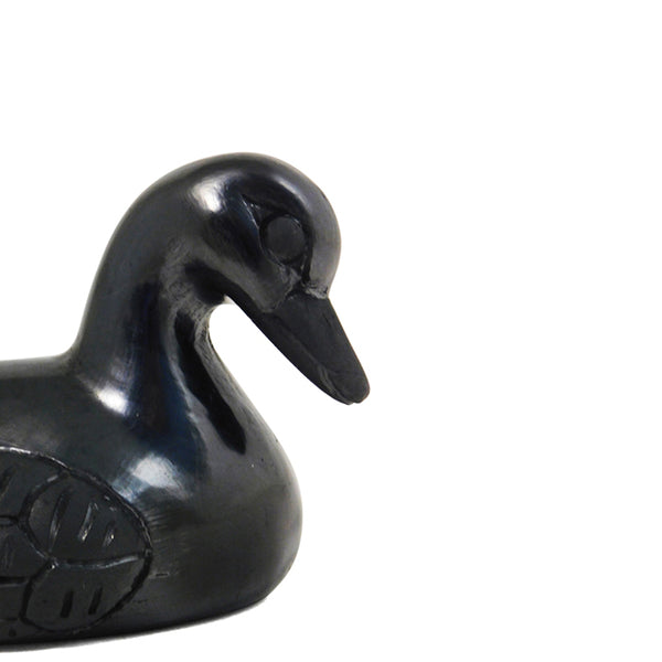 Barro Negro: Duck
