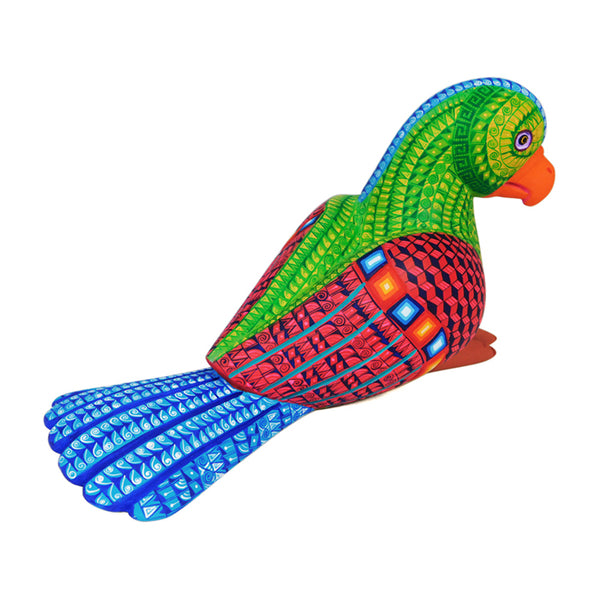 Saul Aragon: Rainforest Parrot Woodcarving