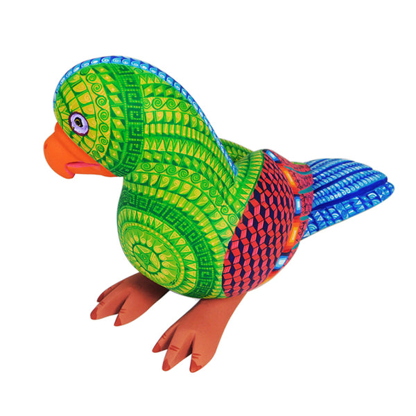 Saul Aragon: Rainforest Parrot Woodcarving