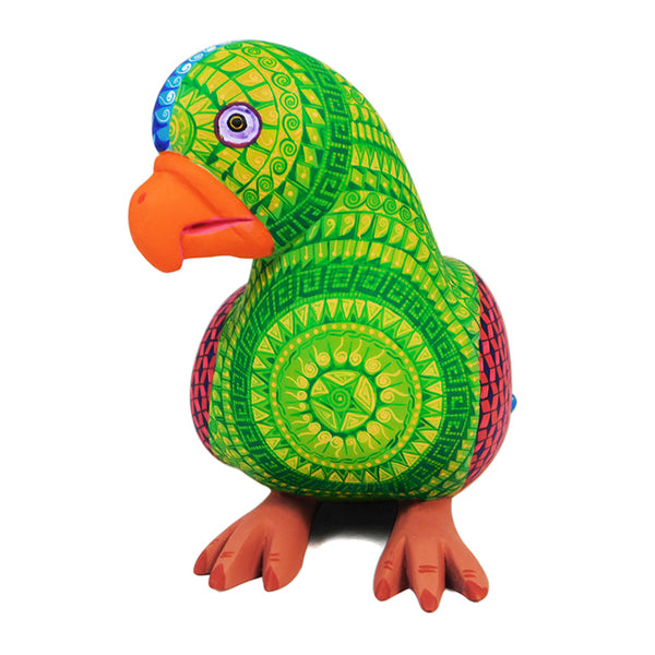 Saul Aragon: Rainforest Parrot Woodcarving