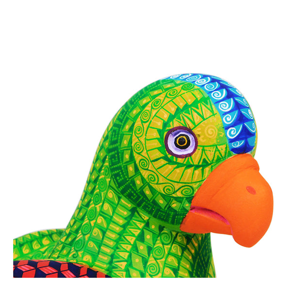 Saul Aragon: Rainforest Parrot Woodcarving