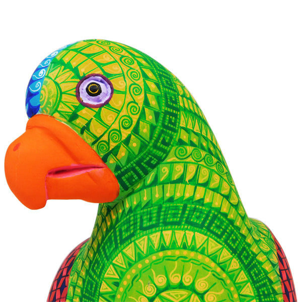 Saul Aragon: Rainforest Parrot Woodcarving