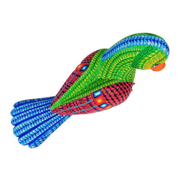 Saul Aragon: Rainforest Parrot Woodcarving