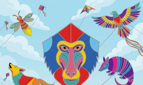 What Happens When You Build a Hundred Kites