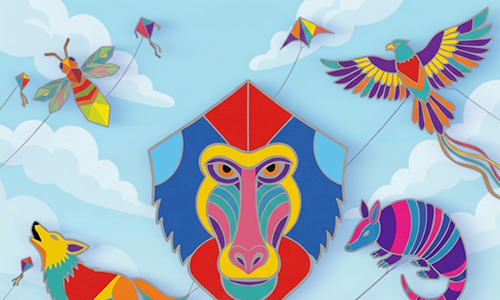 What Happens When You Build a Hundred Kites!