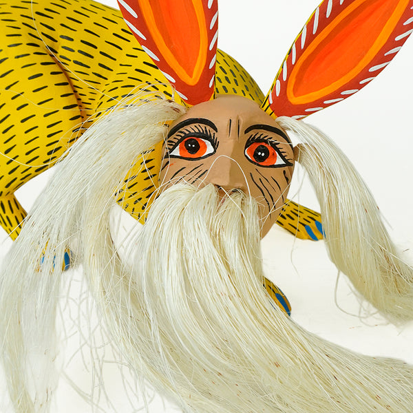 Armando Jimenez: Nahual Alebrije