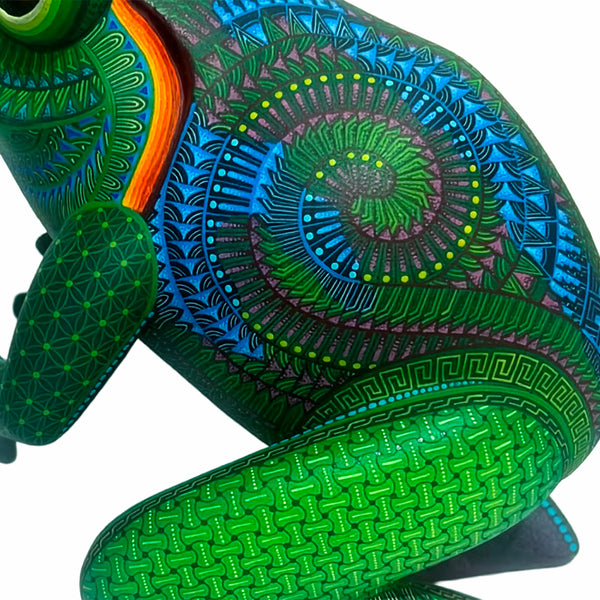 Isabel Fabian: Frog Woodcarving