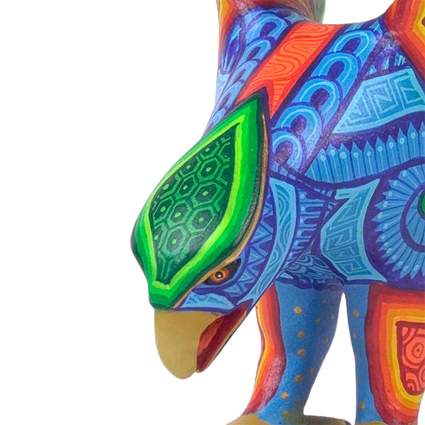 Luis Cruz: Beautiful Eagle Oaxaca