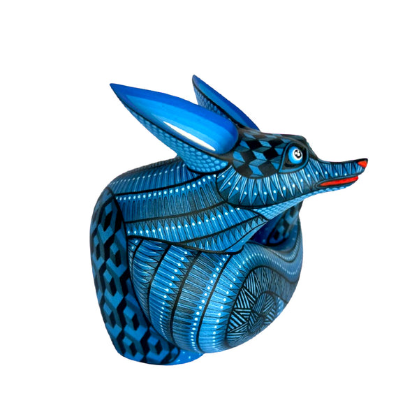 Nicolas Morales: Little Midnight Fox Oaxaca