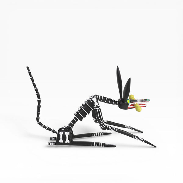 Adrian Xuana: Skeleton Dog Oaxaca