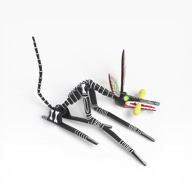 Adrian Xuana: Skeleton Dog Oaxaca