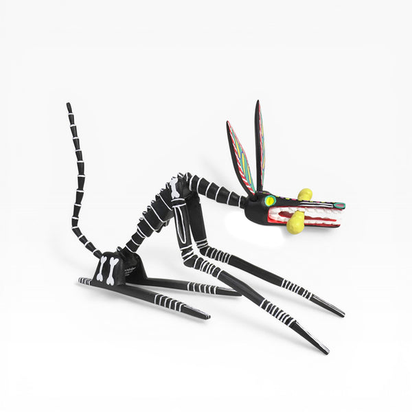 Adrian Xuana: Skeleton Dog Oaxaca