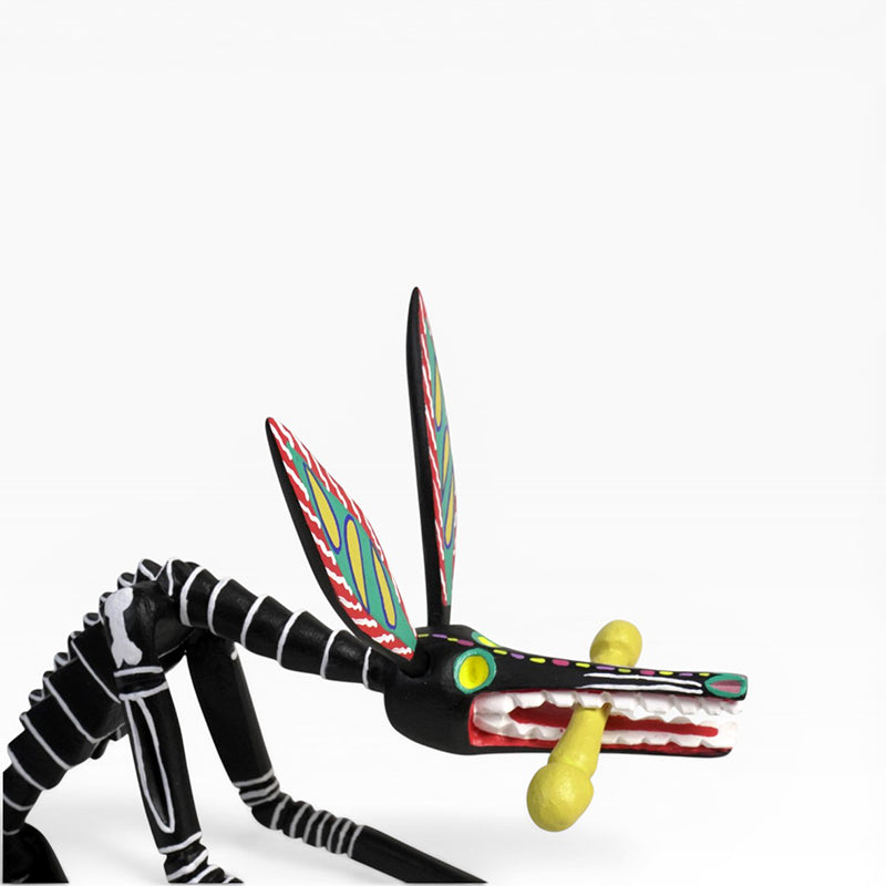 Adrian Xuana: Skeleton Dog Oaxaca