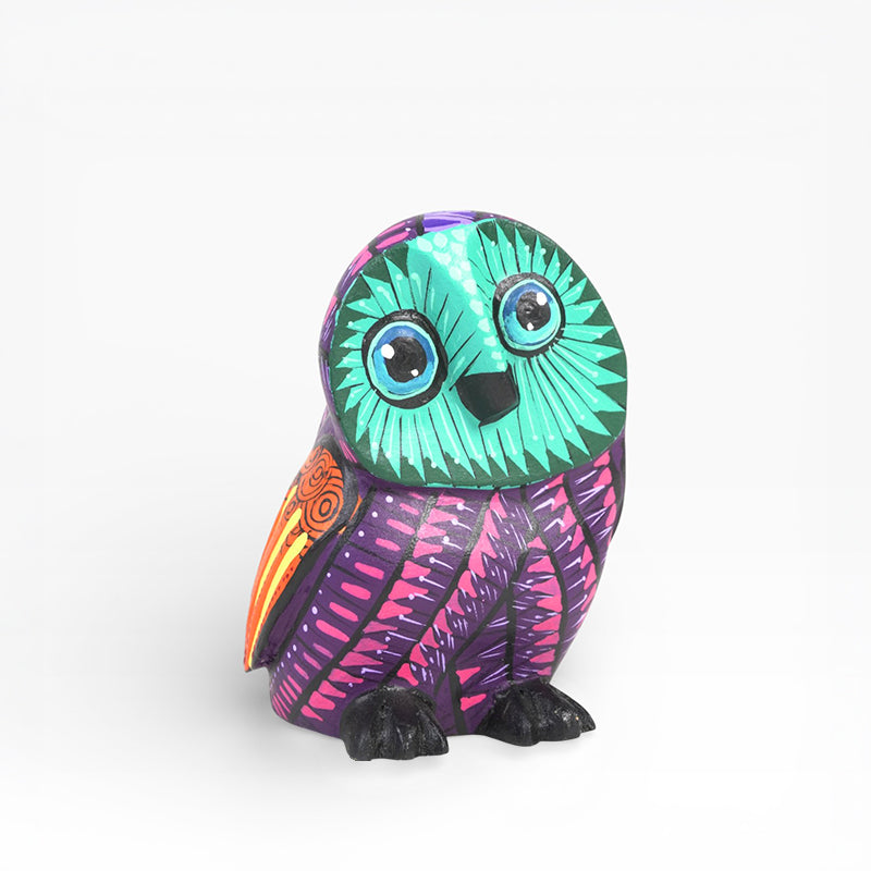 Angel Matias: Little Owl